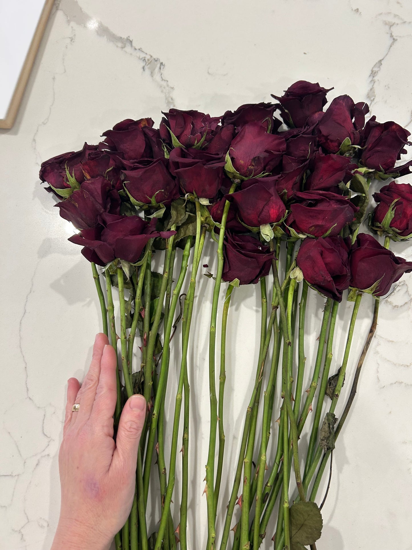 Rose boquet art wall