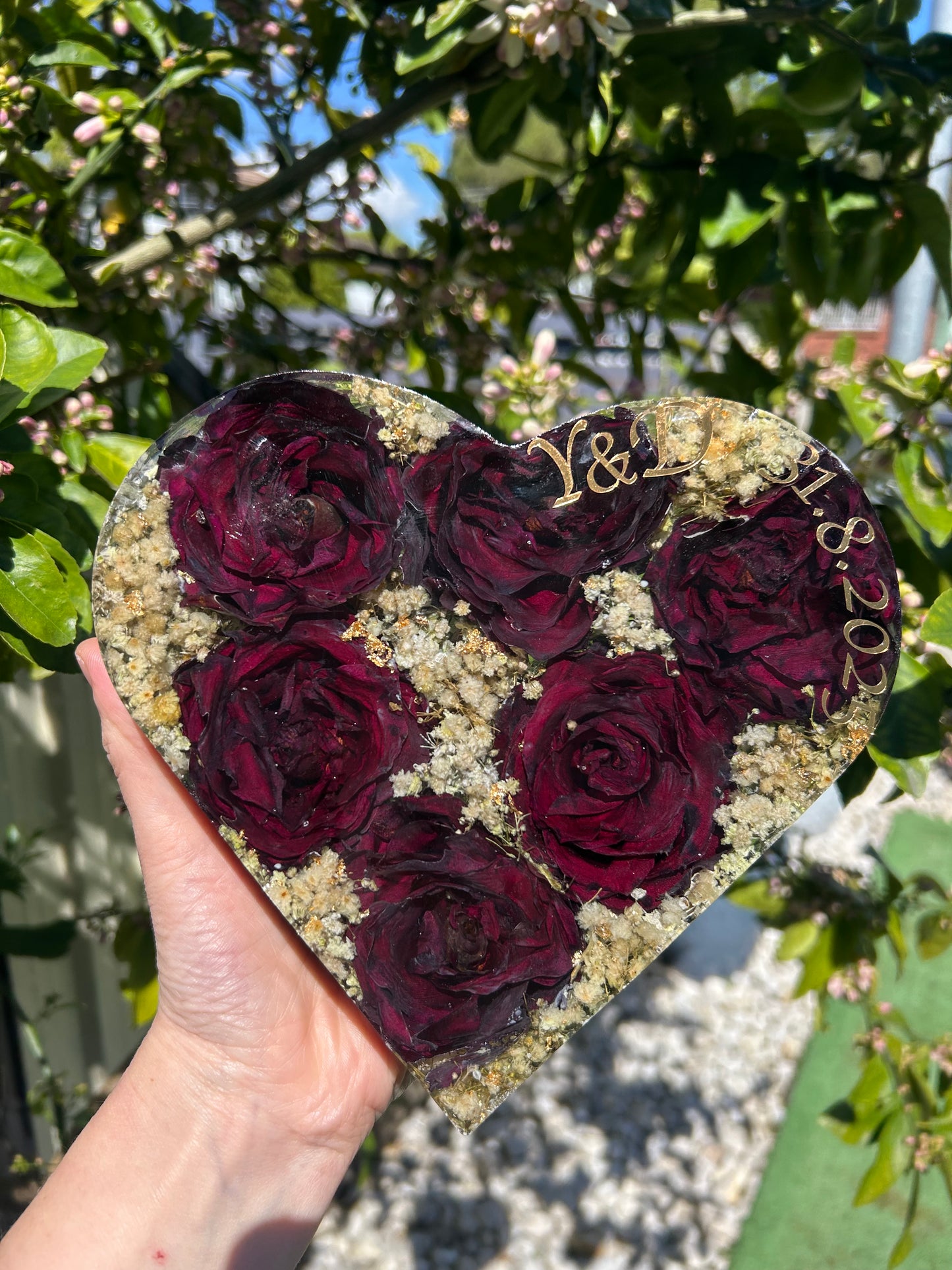 Heart roses (engagement roses)