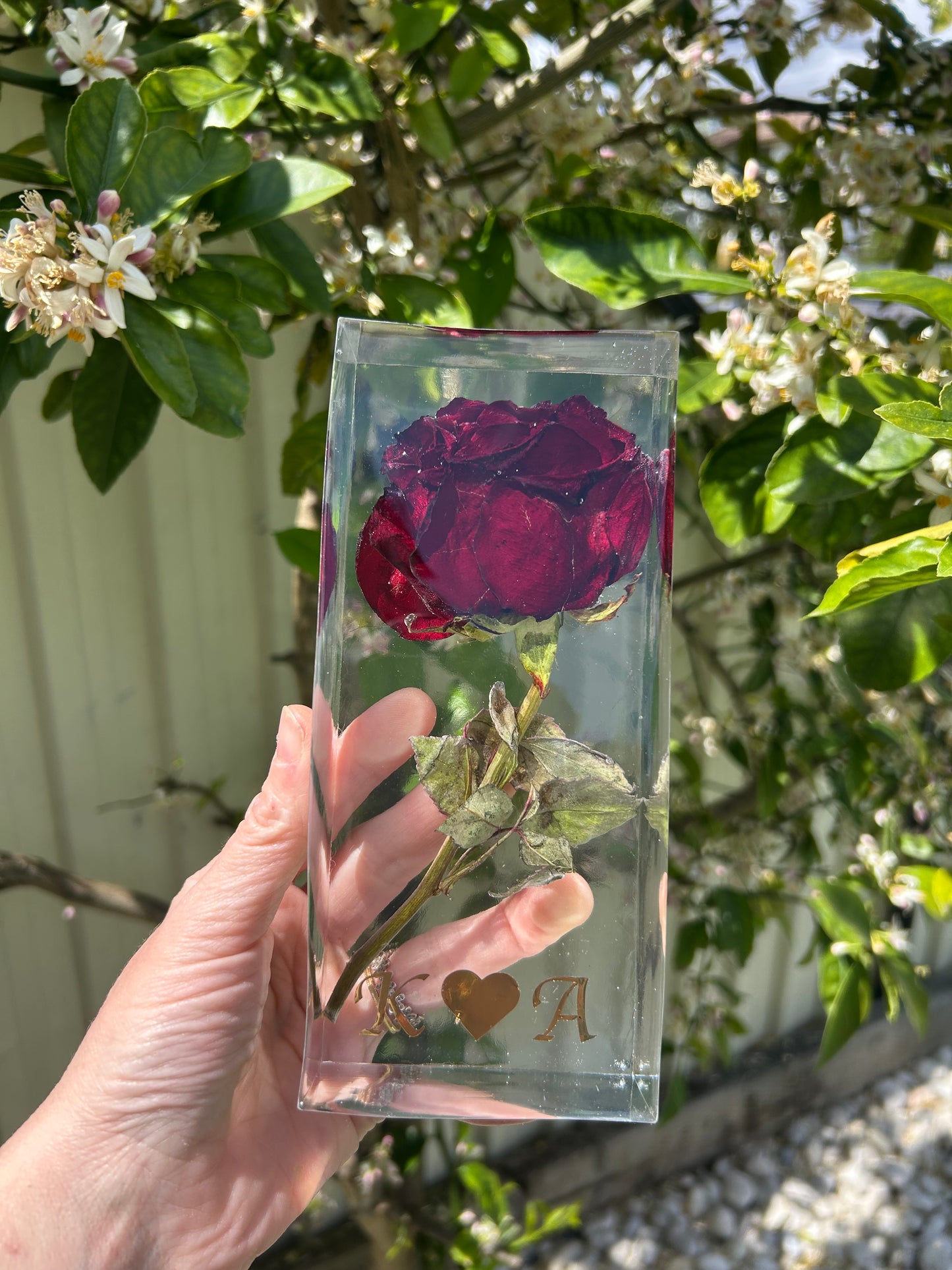 Bloom of Love