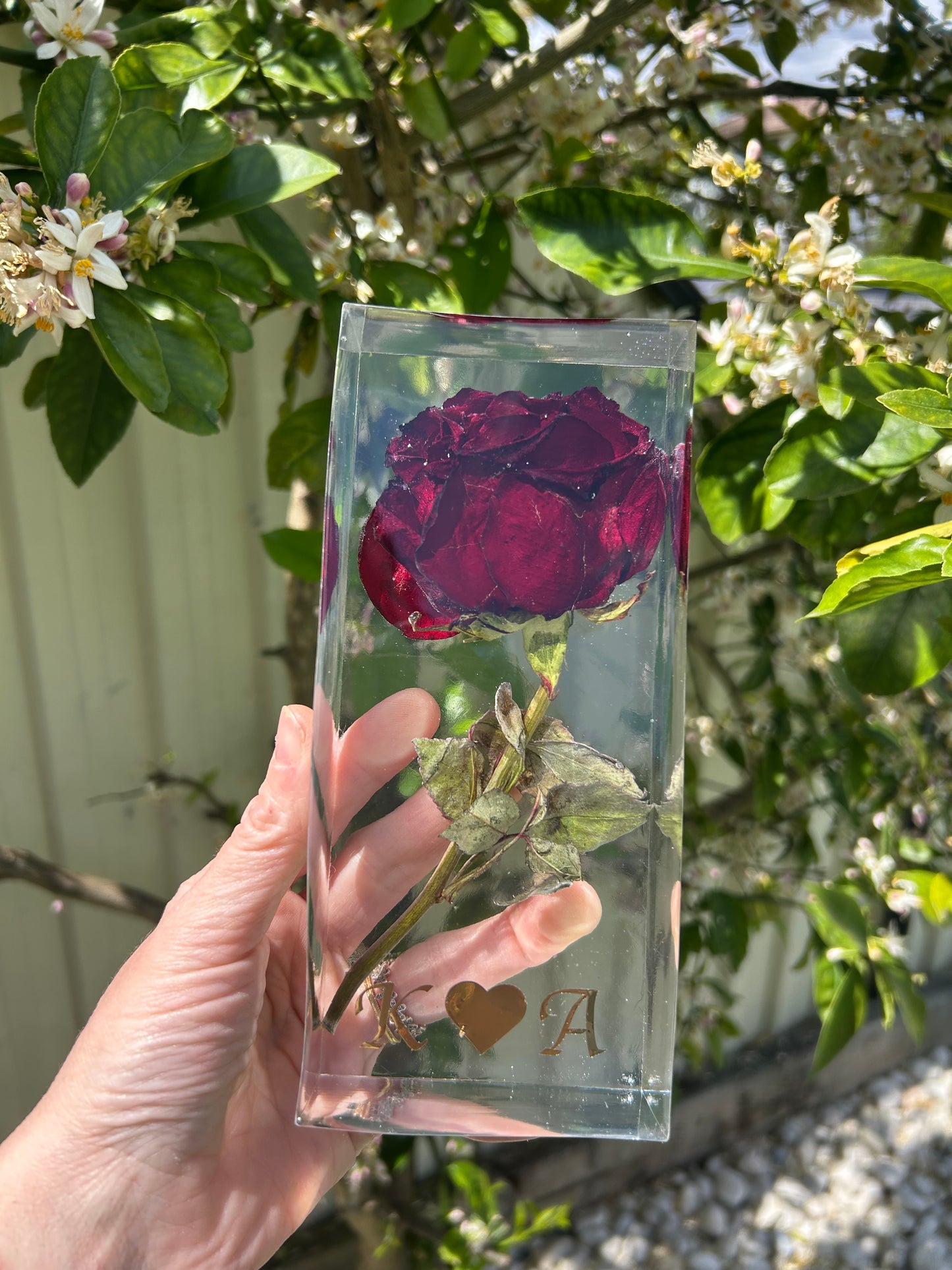 Bloom of Love
