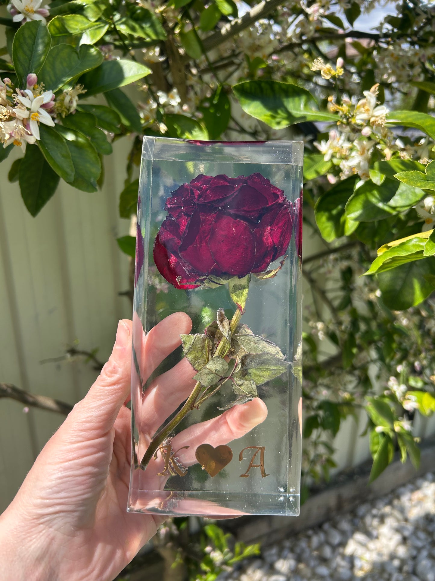 Bloom of Love