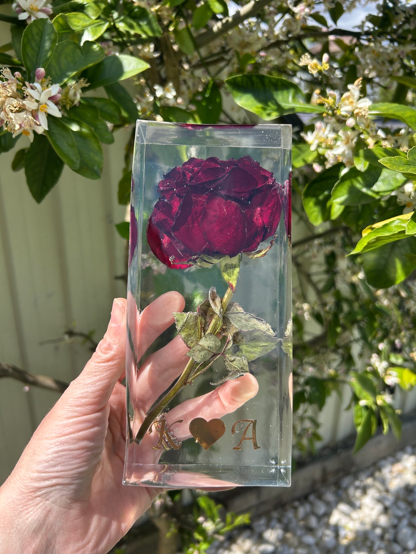 Bloom of Love