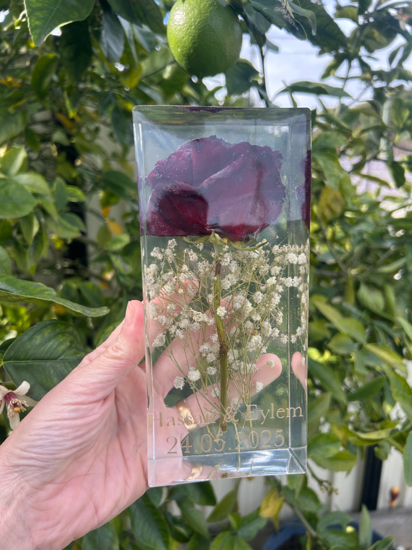 Preserve engagement rose