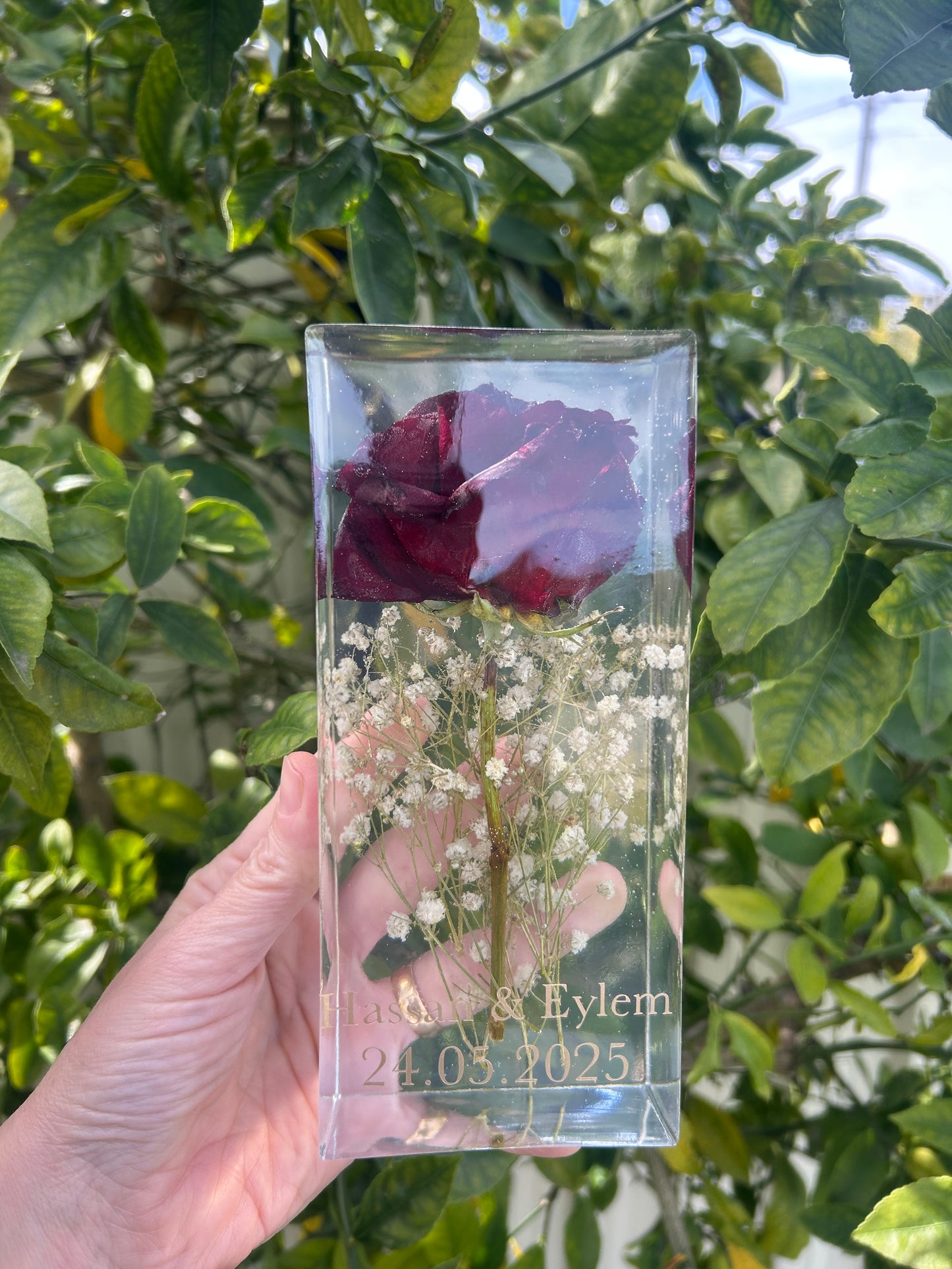 Preserve engagement rose