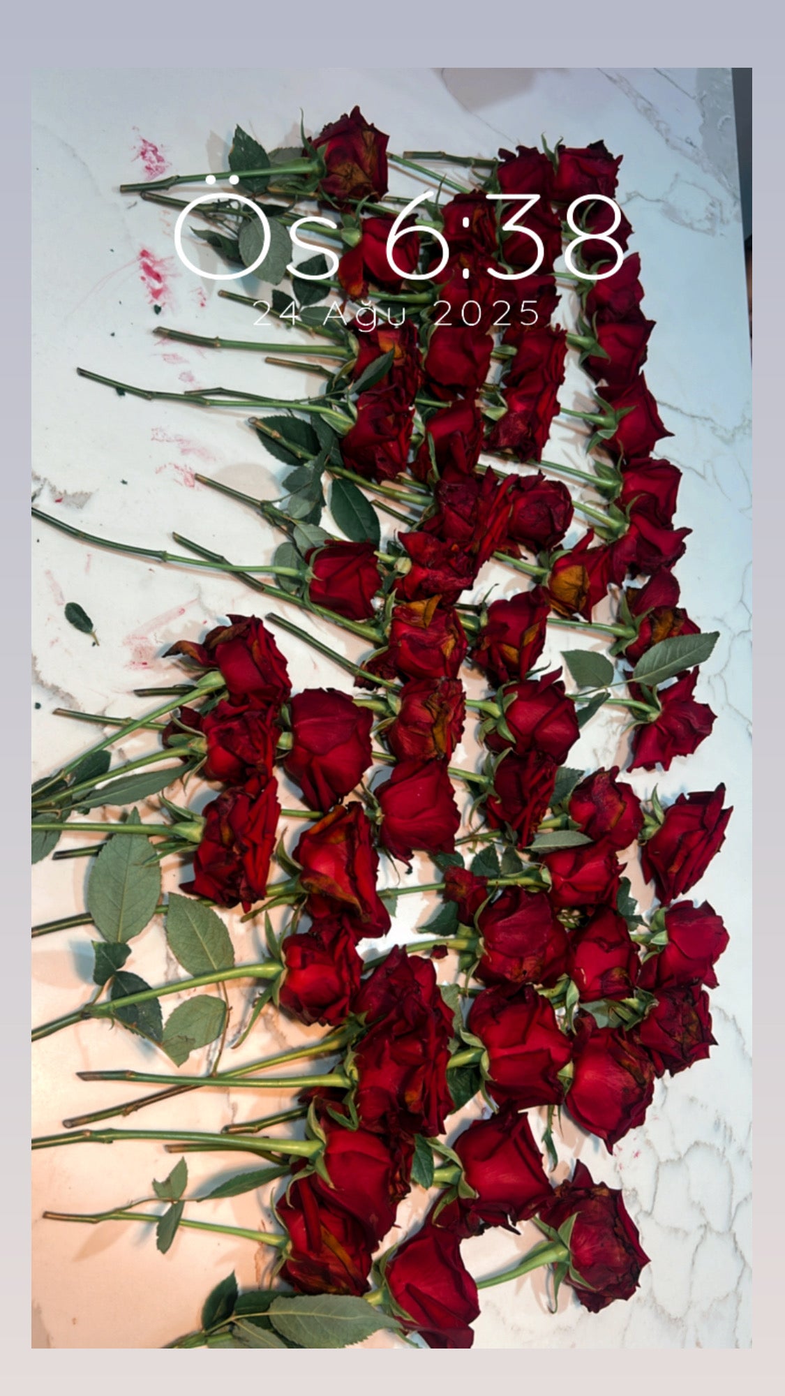 Preseve roses