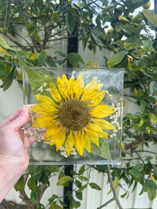 Sunflower preserve