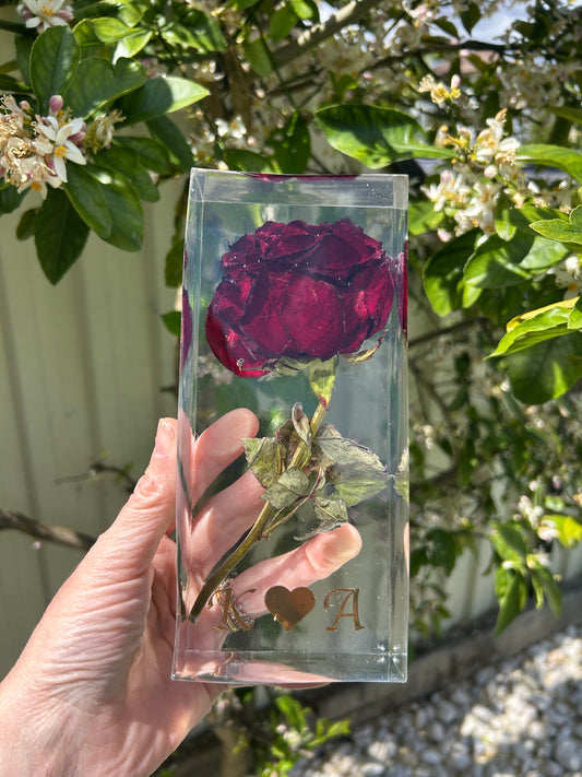 Bloom of Love